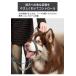 ��������h�~ �w�b�h�J���[ �W�F���g�����[�_�[ S M L XL ���^�� ���^�� ��^�� �g���[�j���O �R���g���[���@���s�� �E���H�� ��т� �}�Y������ ������� �֘A�摜2