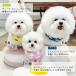 NEW �N�[���l�b�N �� �V���ǉ� ���b�v�X�g�b�v�i�C�������n �\�n�������H �� �����΍� �Ђ��� ���[�h���t�� �ۗ�܃X�k�[�h �� KM863G �֘A�摜5