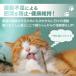 �L����炵 �˂�����炵 �L�p�������� �L �˂� �l�R �H�� �L�p�i �L�������� �X�g���X���� �^���s������ ���̉H ���̃n�l �֘A�摜2