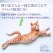 �L����炵 �˂�����炵 �L�p�������� �L �˂� �l�R �H�� �L�p�i �L�������� �X�g���X���� �^���s������ ���̉H ���̃n�l �֘A�摜3