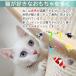 �L����炵 �˂�����炵 �L�p�������� �L �˂� �l�R �H�� �L�p�i �L�������� �X�g���X���� �^���s������ ���̉H ���̃n�l �֘A�摜4