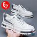 6cm �A�b�v �V�[�N�N���b�g �V�[�N���b�g�V���[�Y �X�j�[�J�[ �w�������Ȃ����V�[�N���b�g�V���[�Y �v�C �ʋ΃J�W���A�� �a�m�C