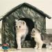  кошка bed кошка house наружный водонепроницаемый собачья конура кошка маленький магазин для домашних животных спальный мешок домашнее животное bed домик для кошек собака house кошка. дом . хорошо кошка собака наружный кабина ракушка ta-