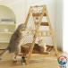  башня для кошки кошка bed гамак коготь .. из дерева кошка tower кошка лестница подножка compact много голова .. под дерево угол круг обработка много подножка лестница имеется коготь точить лен шнур 