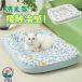  домашнее животное bed .... летний ...... летний коврик собака кошка прохладный прохладный коврик для домашних животных весна лето холодный хочет .. хочет охлаждающий коврик 