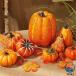  Halloween украшение DIY Halo we n тыква 7PCS симуляция тыква оборудование орнамент комплект фотосъемка осень реквизит 