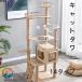  башня для кошки .. класть большой кошка средний большой гамак есть игрушка движение нехватка устойчивость крепкий .. коготь .. коготь точить много голова .. лен шнур . кошка sinia компактный 