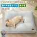  домашнее животное коврик кусание трещина трудно снят ... собака кошка bed предотвращение скольжения водоотталкивающий уход для весна лето осень-зима 