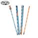 BCA Be si-e- Probe <2026>STEALTH 270 / C2305002010