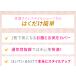 ���������� ���ՃX�����X�^�C���V���[�c 2���Z�b�g ���Օ␳���� �K�[�h�� ���ՃV���[�c �O�b�Y �K�[�h�� ������ �␳���� �_�C ���� �֘A�摜3