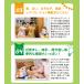 �X�}�C�����񂿂�� �����F���l�` �X�}�C�� ���񂿂�� ������ׂ�p�[�g�i�[ ������ׂ�l�` ��b �j�̎q �ʂ������ �l�` ��b���{�b�g  ���� �֘A�摜2