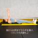 �X�g���b�`�R����(�n�[�t) BODYMAKER �{�f�B���[�J�[ �g���[�j���O�P�A �g���[�j���O�p�i �o�����X �s���e�B�X �t�B�b�g�l�X�O�b�Y �|�[�� �y90���ۏ؁z �֘A�摜3