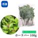 [ freezing ] horn lapa-( sweet basil )100g Thai vegetable fresh herb ethnic food condiment raw vegetable 