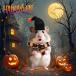  мелкие животные Halloween шляпа muffler костюмированная игра мелкие животные сопутствующие товары хомяк белка надеты . изменение 