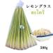  Thai овощи сорго лимонное 1 пакет ( примерно 500g) Азия трава еда Thai овощи лето овощи taklai