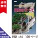 書籍 本 盆栽専門誌 真柏のすべて 剪定 整姿 植え替え ジン シャリ彫刻 手入れ 実技 管理