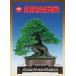  литература книга@ бонсай специализация журнал [ no. 85 раз . способ бонсай выставка память .] бонсай сосна Kashiwa . дерево фотоальбом Chuubu бонсай комплект ... Nagoya город дуть сверху отверстие открытие 