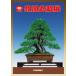  литература книга@ бонсай специализация журнал [ no. 86 раз . способ бонсай выставка память .] бонсай сосна Kashiwa . дерево фотоальбом Chuubu бонсай комплект ... Nagoya город дуть сверху отверстие открытие 