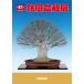  литература книга@ бонсай специализация журнал [ no. 87 раз . способ бонсай выставка память .] бонсай сосна Kashiwa . дерево фотоальбом Chuubu бонсай комплект ... Nagoya город дуть сверху отверстие открытие 