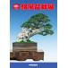  литература книга@ бонсай специализация журнал [ no. 88 раз . способ бонсай выставка память .] бонсай сосна Kashiwa . дерево фотоальбом Chuubu бонсай комплект ... Nagoya город дуть сверху отверстие открытие 