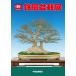 литература книга@ бонсай специализация журнал [ no. 89 раз . способ бонсай выставка память .] бонсай сосна Kashiwa . дерево фотоальбом Chuubu бонсай комплект ... Nagoya город дуть сверху отверстие открытие 