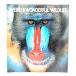 Weird and Wonderful Wildlife /Michael Marten, John May, Rosemary Taylor/Chronicle Books