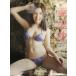 ������ 2013�N�r�L�j�J�����_�[ B2�T�C�Y 8���Ԃ�