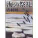  море. праздник . новый оборудование версия / Yoshimura Akira 