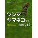 tsusimayama кошка ..,....?.. из ..!! хлопчатник сделал . возможно ../ Oota столица .
