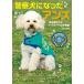  police dog became apricot life .. crack . toy poodle. monogatari / Suzuki ..