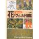  цветок. интересный поле иллюстрированная книга осень /pikio