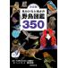 見分け方と鳴き声野鳥図鑑350 決定版/植村慎吾/上田恵介