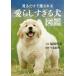  смотреть только .. быть love ..... собака иллюстрированная книга / Fukuda . документ / сейчас Izumi . Akira 