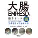  большой .EMR*ESD. основы .kotsu Expert если ... терапия рука .* стратегия .../ рисовое поле средний доверие ./. рисовое поле доверие 2 / холм ..