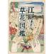  Edo Tokyo . цветок иллюстрированная книга / Iwatsuki превосходящий Akira 