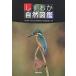 shi... природа иллюстрированная книга / Shizuoka префектура . природа история музей создание .....