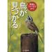  сезон . поле из птица . видеть ...1 год .240 вид. птица ..../ средний ...