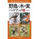 野鳥と木の実ハンドブック/叶内拓哉