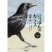 ni.... kalas super visual версия / Matsubara ./* работа .книга@ багряник японский / насос labo