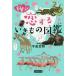 . Qun . делать . кимоно иллюстрированная книга / сейчас Izumi . Akira 