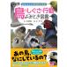  птица. ...* line перемещение .. время иллюстрированная книга / маленький . блестящий ./ насос labo