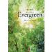  synthesis English Evergreen Keep the Forest Evergreen/.takayuki/ Kawasaki . person / Kubota . beautiful 