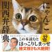ni... Kansai . словарь / запад река Kiyoshi история 