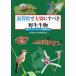  Shiga префектура . бережно .... сырой живое существо Shiga префектура красный данные книжка 2025 год версия / Shiga префектура сырой кимоно обобщенный исследование комитет 
