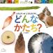  какой ...?/ Fukuoka . один / ребенок / книга с картинками 