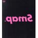 LIVE pamS/SMAP