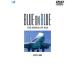 BLUE ON BLUE THE WORLD OF ANA B747-400|( hobby | education )