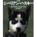  фотоальбом sibe Lien * хаски Canadian * Rocky из / новый прекрасный ..[ фотосъемка ]
