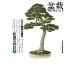  бонсай NHK хобби. садоводство новый садоводство консультации 4/ Япония радиовещание выпускать ассоциация [ сборник ]