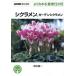  цикламен персидский, сад цикламен персидский NHK хобби. садоводство хорошо понимать культивирование 12. месяц / Yoshida . один ( автор )